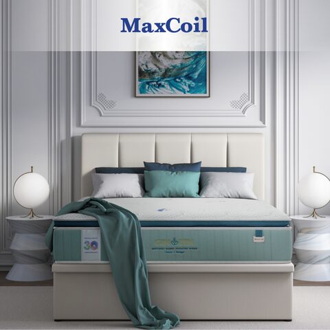 comfort dreams organic cotton mattress