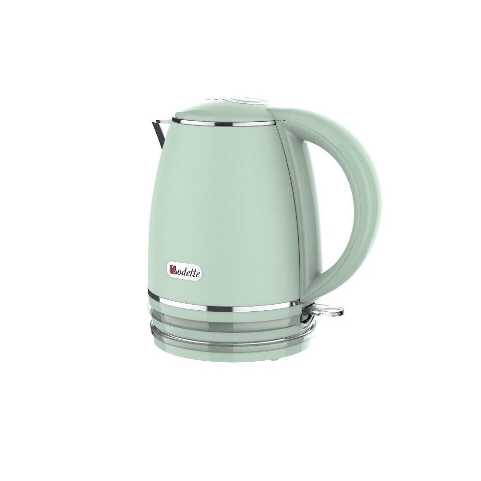 double wall stainless steel electric kettle