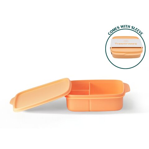 Square Divided Lunch Box, 550ml | Takashimaya