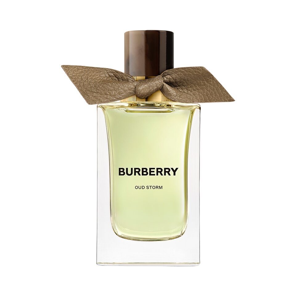 Burberry Signatures Extreme Botanicals Oud Storm EDP 100ml Takashimaya