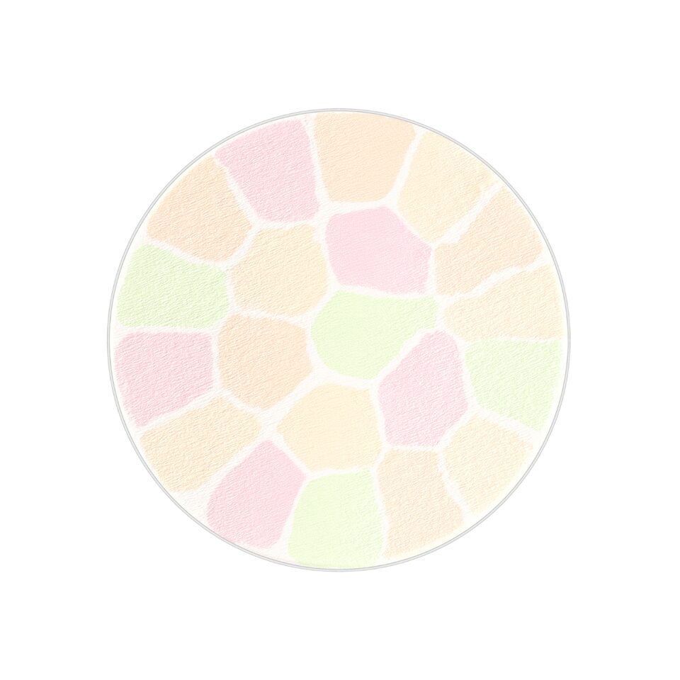 Albion Elegance La Poudre Haute Nuance Luxueuse 27g - 06 | Takashimaya