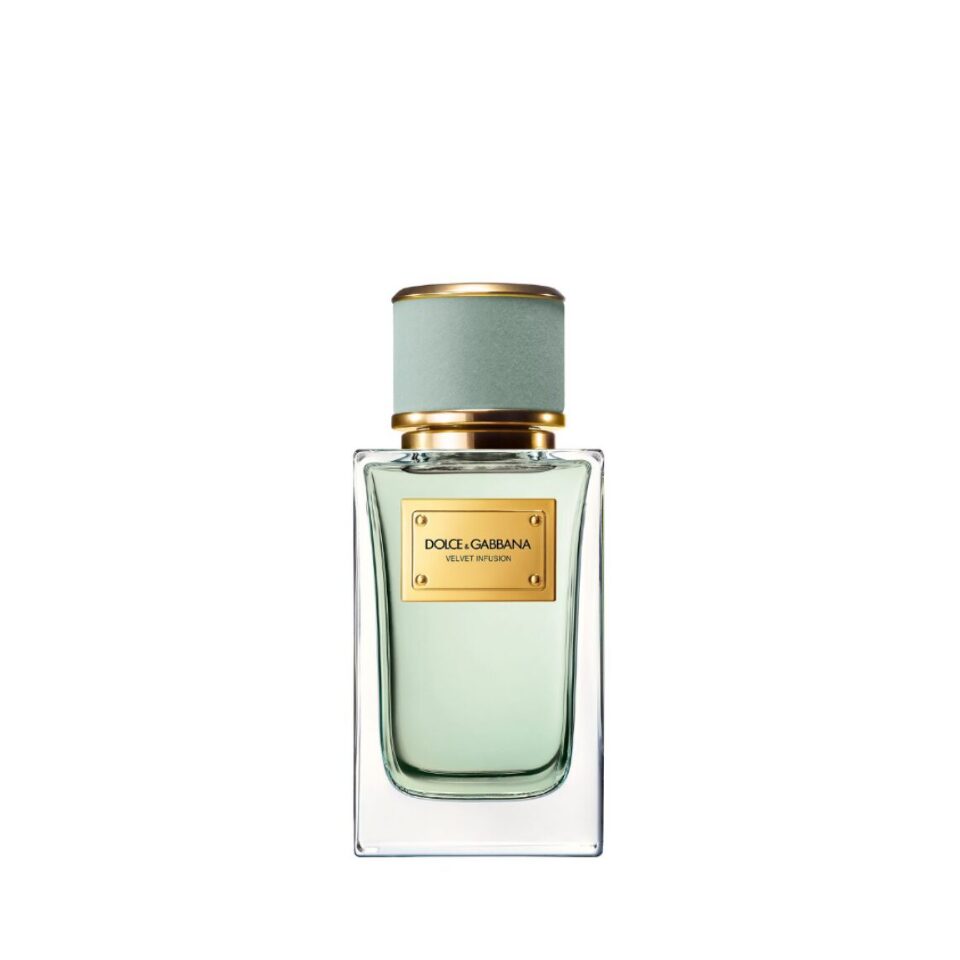 Dolce & Gabanna Velvet Infusion EDP 100ml | Takashimaya