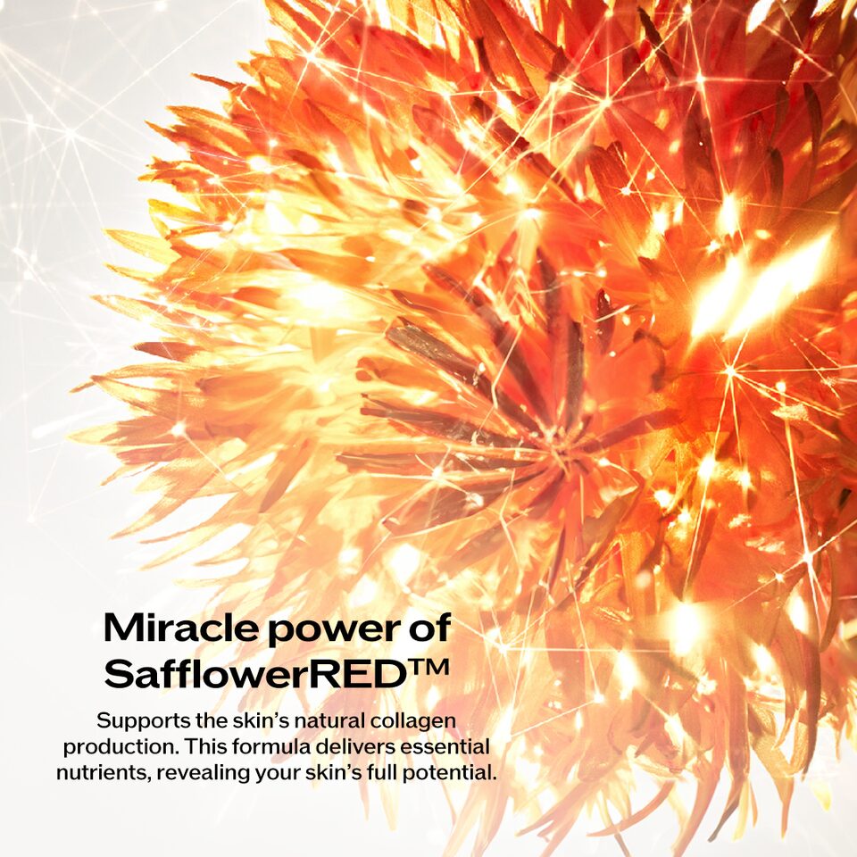 SHISEIDO VITAL-PERFECTION SLift 新品 SHISEIDO VITAL-PERFECTION SLift 新品