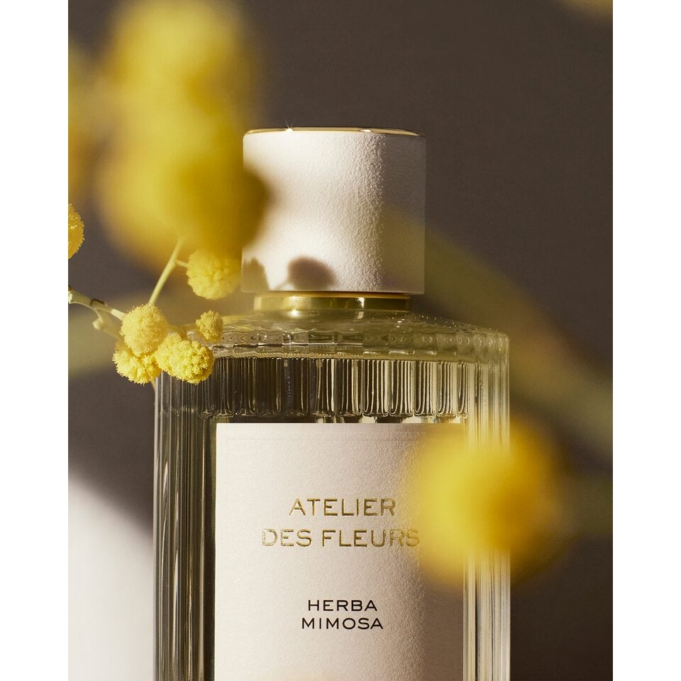 Chloé Atelier des Fleurs Herba Mimosa Eau de Parfum