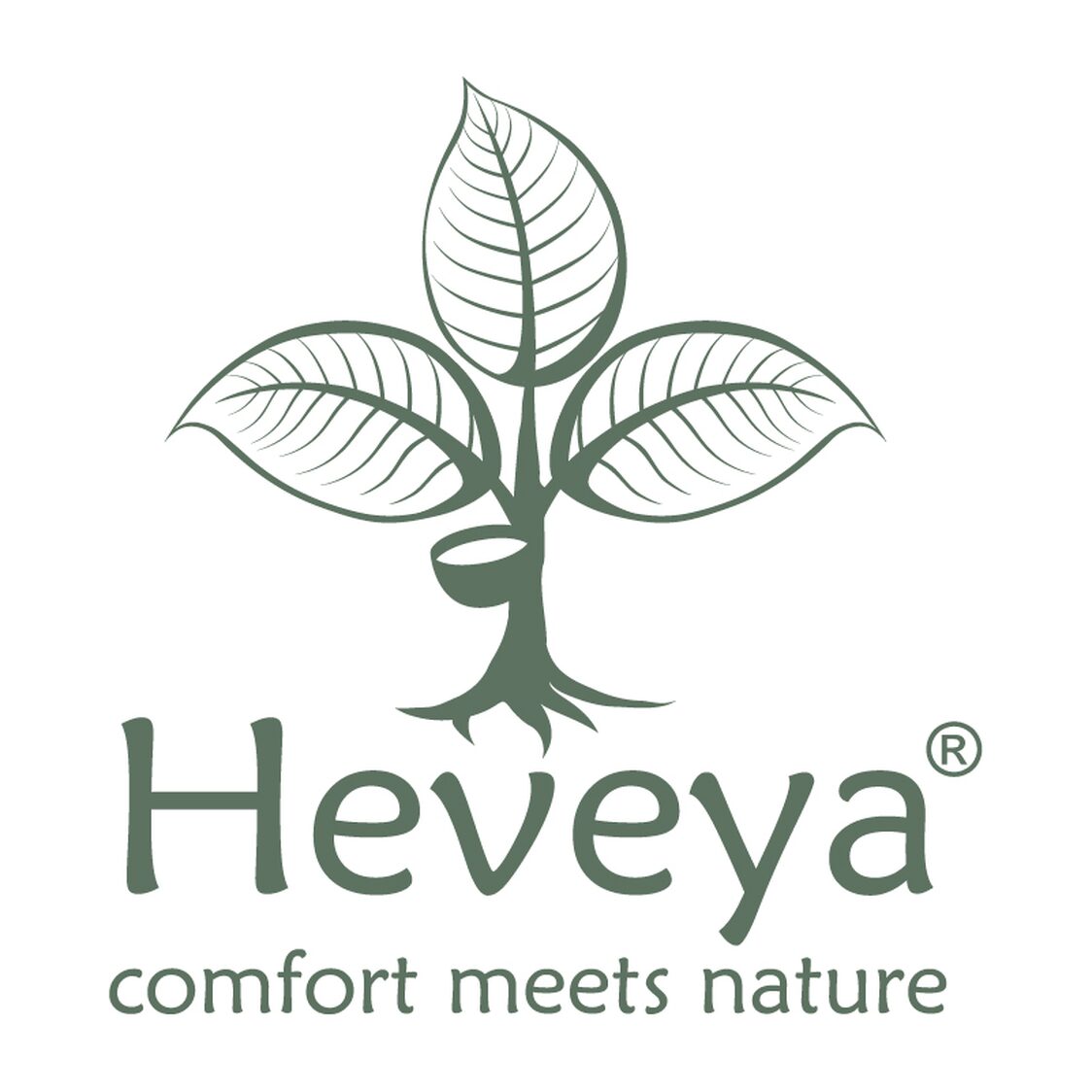 Image 46: Heveya® Logo