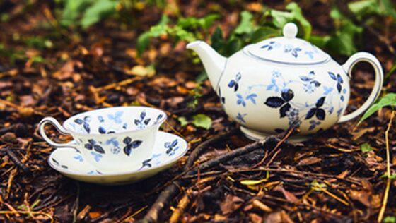Wedgwood | Takashimaya